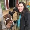 katieerickso354